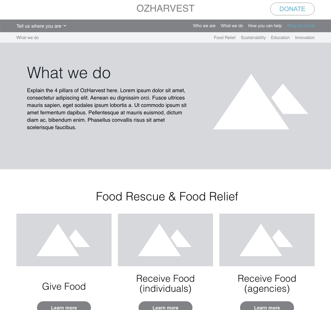 Ozharvest wireframes - detail